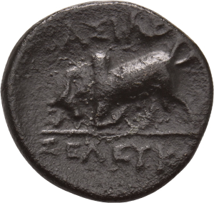 Seleukos I. Nikator