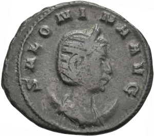 Salonina