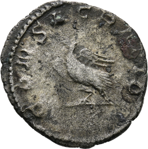 Gallienus für Divus Valerianus II., Antoninian